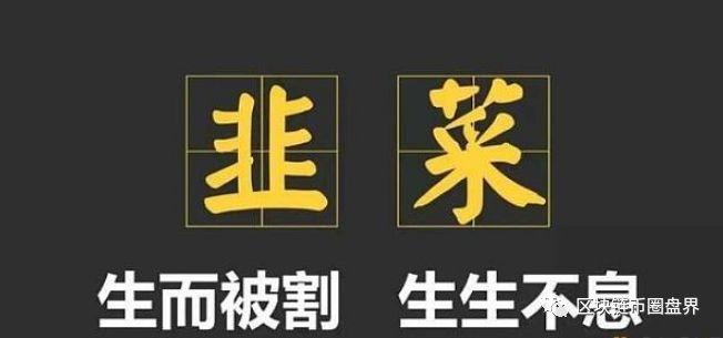 币钱包app_im钱包怎么显示币金额·(中国)官方网站_币的钱包是什么意思