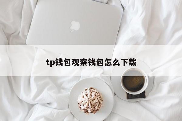 tp钱包观察钱包怎么下载