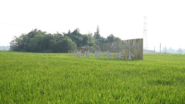 农行美丽乡村_四川银行美好生活_