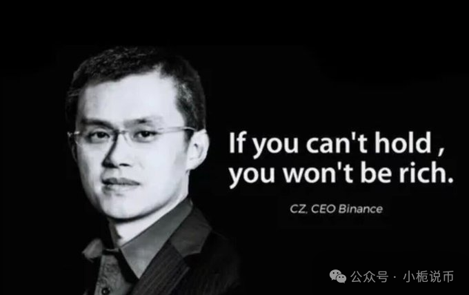 今日推荐| CZ出狱前夕：BNB Chain发展强劲，哪些山寨币将迎来暴涨？