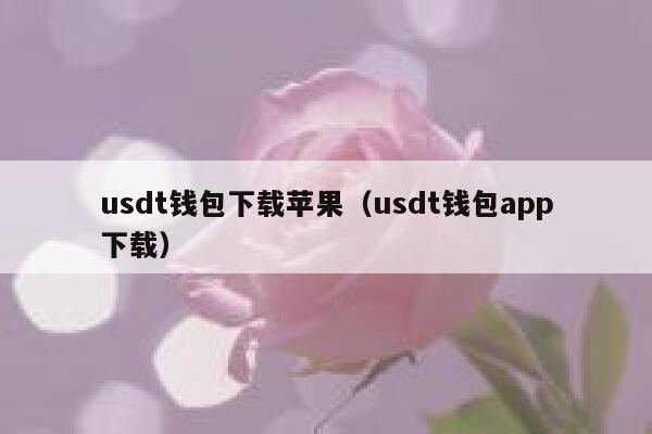 苹果usdt钱包下载（usdt钱包app下载）